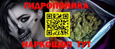 индика Бузулук